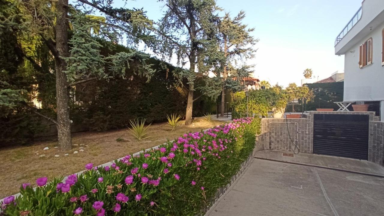 Villa Mary トラーニ エクステリア 写真
