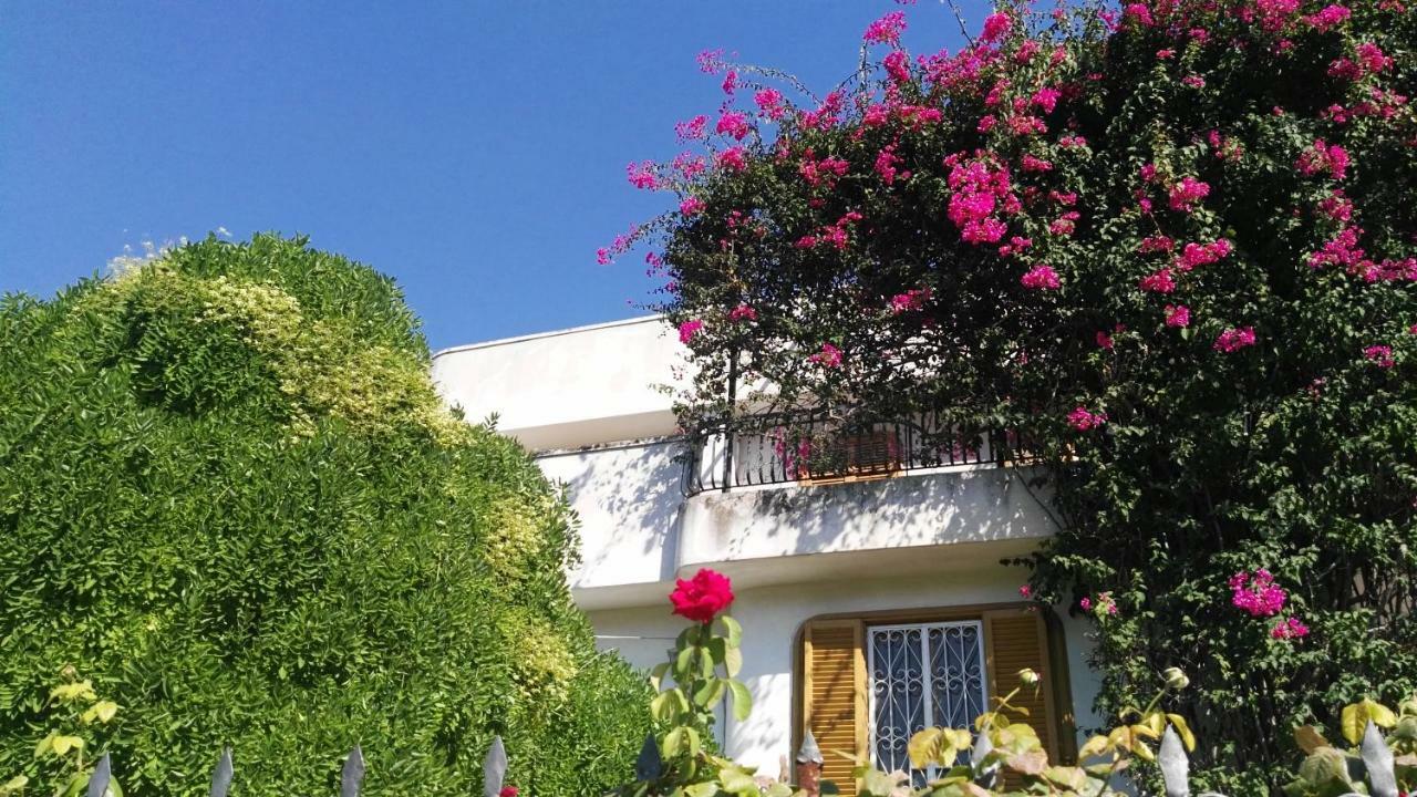 Villa Mary トラーニ エクステリア 写真